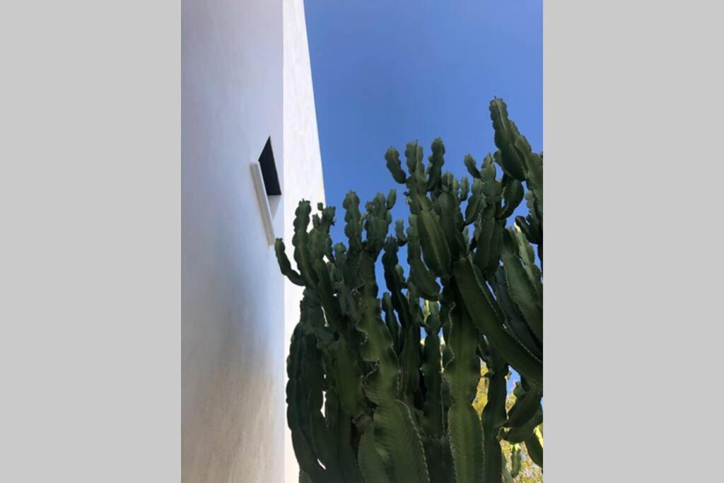 Casa Granado En Cabo De Gata Villa Rodalquilar Exterior foto